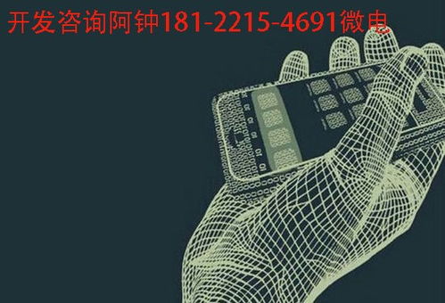 江蘇小葉惠購(gòu)模式開(kāi)發(fā)系統(tǒng)定制方案